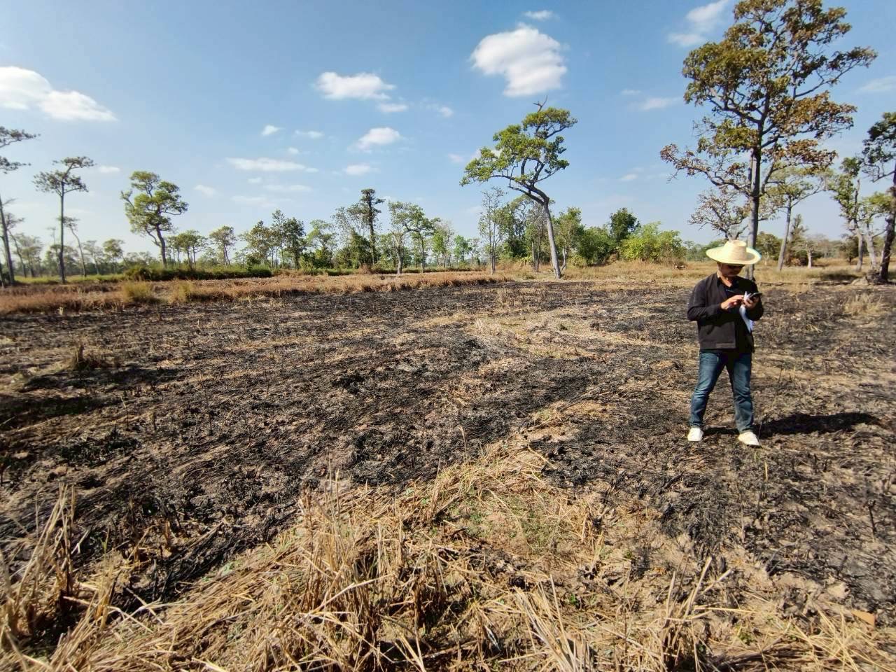 title - วันที่ 15 มกราคม 2569 นายทินกร เพียภูเขียว ปฏิรูปที่ดินจังหวัดอุบลราชธานี มอบหมายให้เจ้าหน้าที่กลุ่มยุทธศาสตร์และการปฏิรูปที่ดิน ลงพื้นที่ตรวจสอบแปลงเกษตรกรรม (นาข้าว) ที่มีการตรวจพบว่ามีการเผา จำนวน 2 จุด 